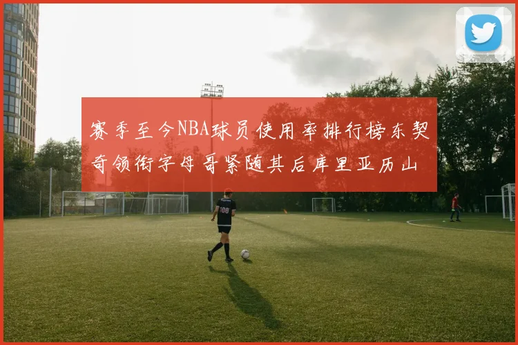 赛季至今NBA球员使用率排行榜东契奇领衔字母哥紧随其后库里亚历山大表现抢眼