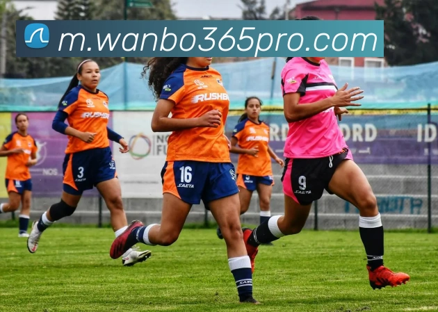 多媒体互动体验